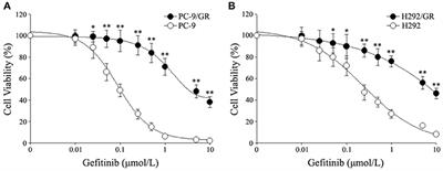 ABCC10 Plays a Significant Role in the Transport of Gefitinib and Contributes to Acquired Resistance to Gefitinib in NSCLC